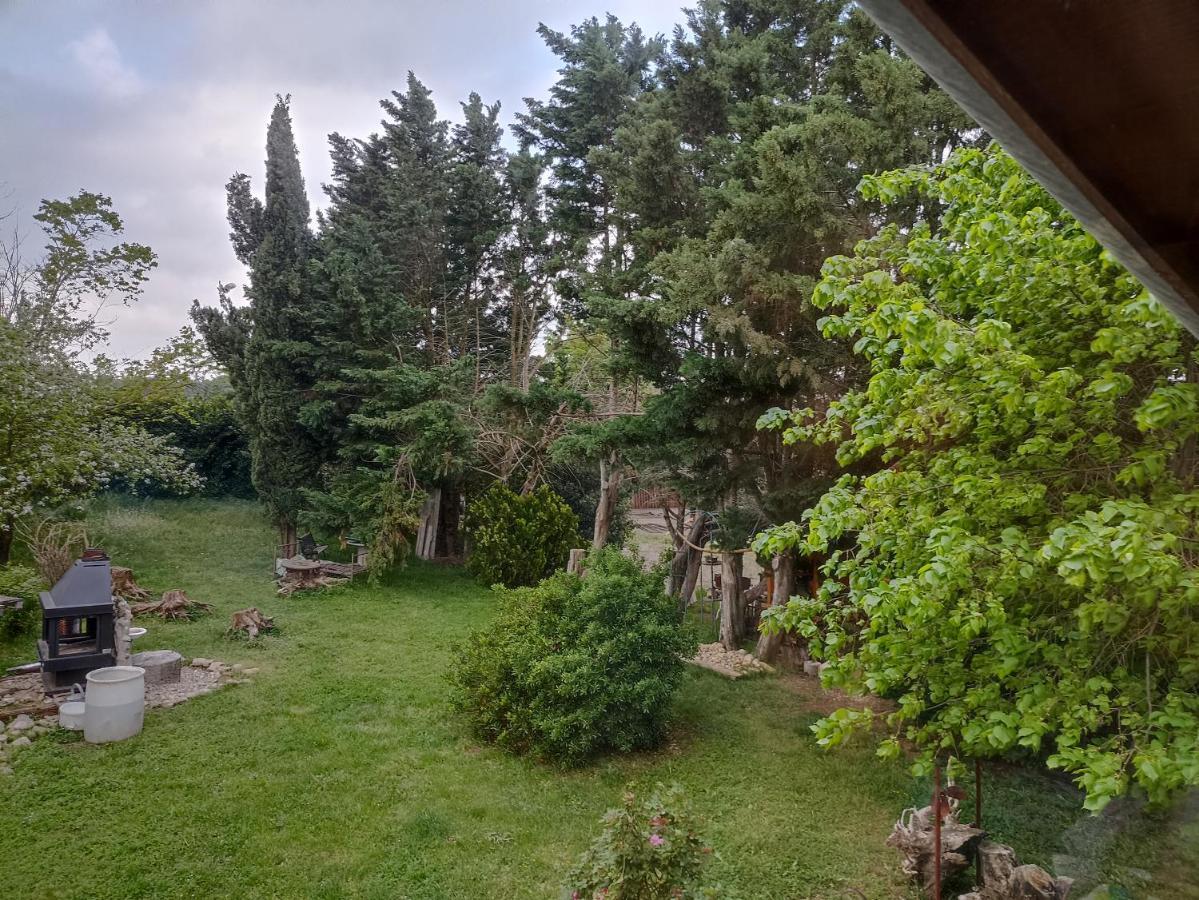 Un Jardin Sur La Colline Lejlighed Claveyson Eksteriør billede